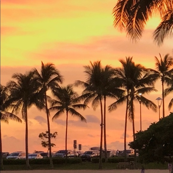 Meet your Posher *POSH AMBASSADOR* - Picture 2 of 3